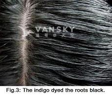 221207162220_Hair-Dyed with indigo-s.jpg